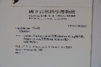 登錄號:S032247藏品圖，第2張