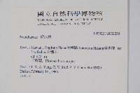 登錄號:S032256藏品圖，第2張