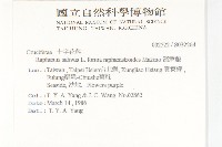 濱萊菔藏品圖，第2張