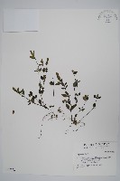 登錄號:S032272藏品圖，第1張