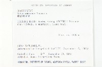 能高佛甲草藏品圖，第2張