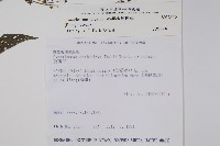 琉璃草藏品圖，第2張