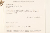 鼠麴草藏品圖，第2張