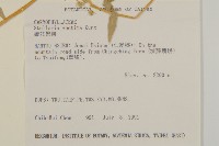 疏花繁縷藏品圖，第2張