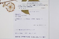 登錄號:S032330藏品圖，第2張