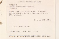 玉山薄雪草藏品圖，第2張