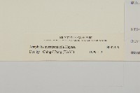 玉山抱莖籟簫藏品圖，第3張