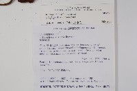 穗花蛇菰藏品圖，第2張