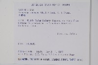 山桔梗藏品圖，第2張