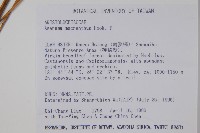 大花細辛、馬蹄香藏品圖，第2張