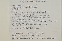 佩羅特木藏品圖，第5張