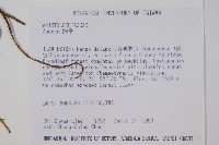 登錄號:S032448藏品圖，第2張
