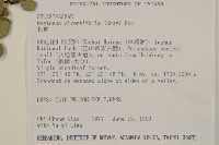 北仲, 刺裸實藏品圖，第2張