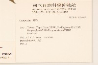 穿心蓮藏品圖，第4張