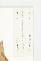 登錄號:S032590藏品圖，第3張