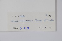 紫玉盤藏品圖，第2張