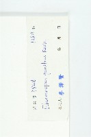 印度唸珠樹藏品圖，第3張