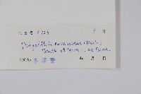 細基丸藏品圖，第2張