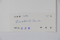 鐵冬青藏品圖，第2張