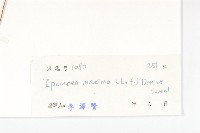 登錄號:S032754藏品圖，第3張