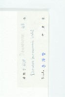 金錢草、錦地羅藏品圖，第3張