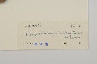 登錄號:S032817藏品圖，第3張