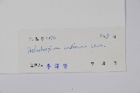 狗尾草藏品圖，第2張