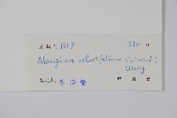 土壇樹藏品圖，第2張