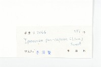 登錄號:S032980藏品圖，第3張