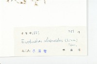 土丁桂藏品圖，第3張