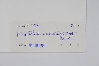 細基丸藏品圖，第2張