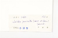 天蓬草舅藏品圖，第3張