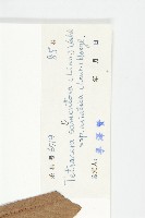 登錄號:S033016藏品圖，第3張