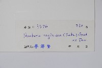 仔欖樹藏品圖，第2張