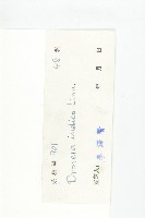 長葉茅膏菜藏品圖，第3張