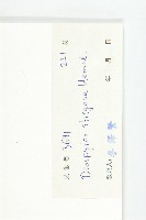 毛柿藏品圖，第6張