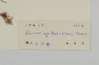 走馬胎藏品圖，第3張