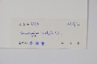 水東哥藏品圖，第2張