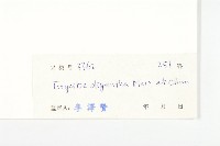 疏花丁公藤藏品圖，第3張