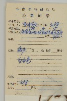 七里明艾納香藏品圖，第2張