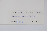 登錄號:S033236藏品圖，第2張