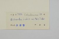 登錄號:S033244藏品圖，第3張