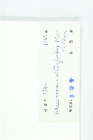 亮葉杜英藏品圖，第3張