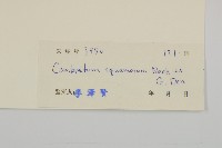 登錄號:S033306藏品圖，第3張