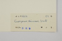 中國衛矛藏品圖，第3張