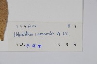 登錄號:S033514藏品圖，第2張
