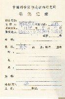 青梅藏品圖，第2張