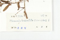 登錄號:S033607藏品圖，第3張