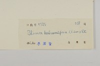 艾納香藏品圖，第3張