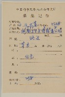 白花地膽草藏品圖，第2張